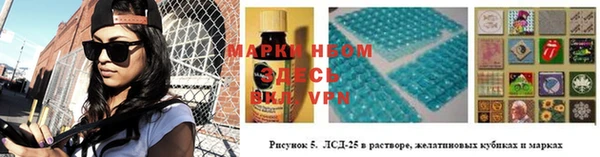 ГАЛЛЮЦИНОГЕННЫЕ ГРИБЫ Баксан