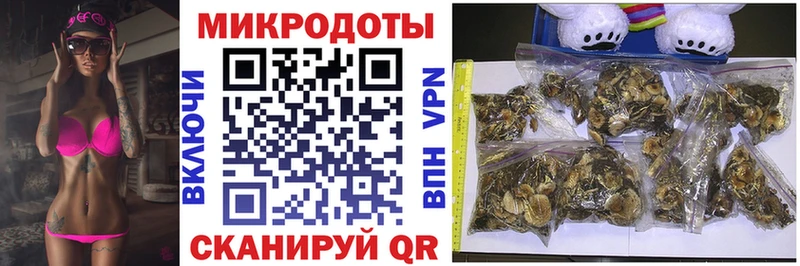 купить закладку  Куровское  Псилоцибиновые грибы Psilocybe 